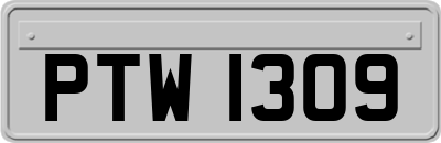 PTW1309