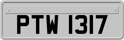 PTW1317