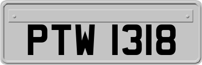 PTW1318