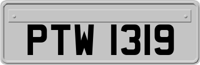 PTW1319