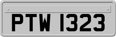 PTW1323