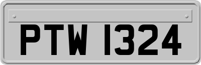 PTW1324