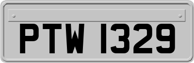 PTW1329