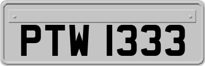 PTW1333