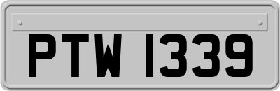 PTW1339