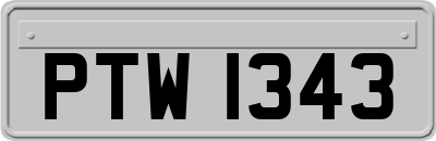 PTW1343