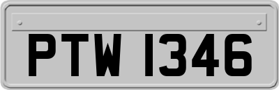 PTW1346