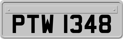 PTW1348