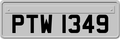 PTW1349