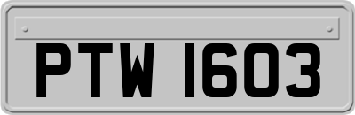 PTW1603