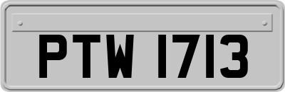 PTW1713