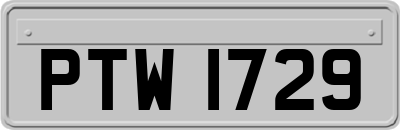 PTW1729