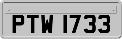 PTW1733