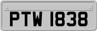 PTW1838