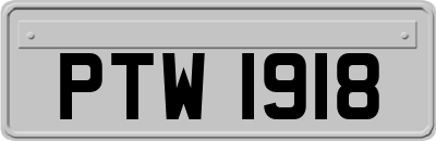 PTW1918