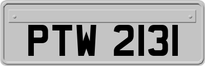 PTW2131