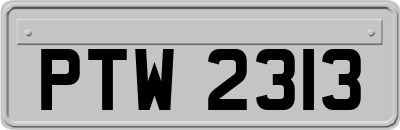 PTW2313