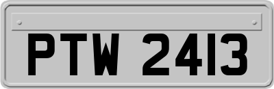 PTW2413