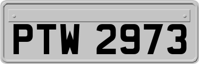 PTW2973