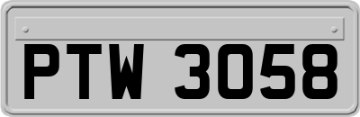 PTW3058