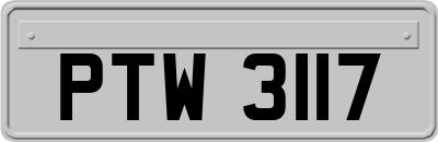 PTW3117