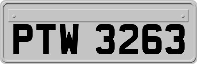 PTW3263