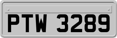 PTW3289