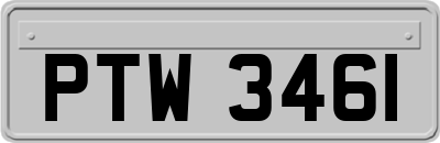 PTW3461