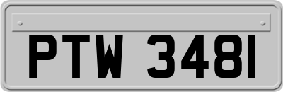 PTW3481