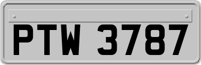 PTW3787