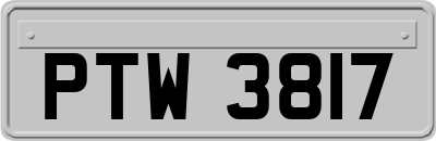 PTW3817