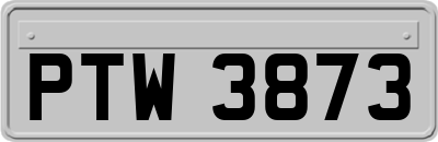 PTW3873