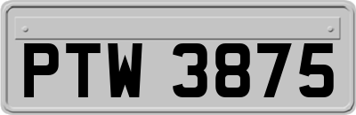 PTW3875