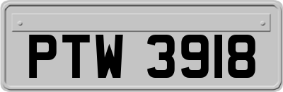 PTW3918