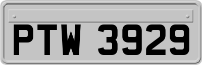 PTW3929