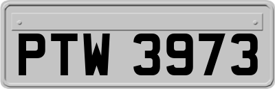 PTW3973