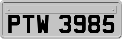 PTW3985