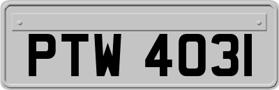 PTW4031