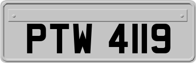 PTW4119