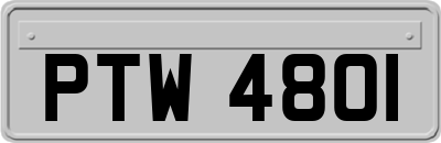 PTW4801