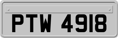 PTW4918