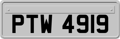 PTW4919