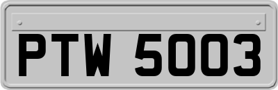 PTW5003