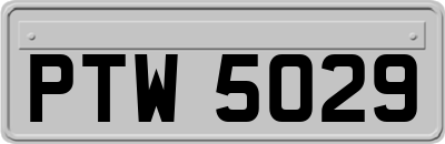 PTW5029