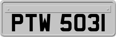 PTW5031