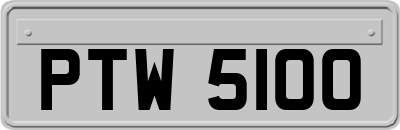 PTW5100