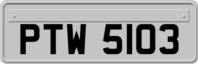 PTW5103