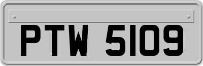 PTW5109