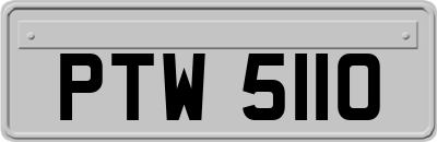 PTW5110