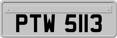 PTW5113